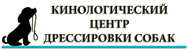 Дрессированный пес - умный пес