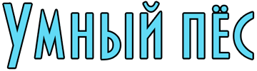 Логотип умный пес